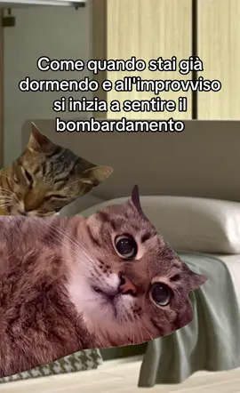 🤭🤭🤣🤣🤣#CapCut #100kviews #neiperteee #memestiktok #MemeCut 