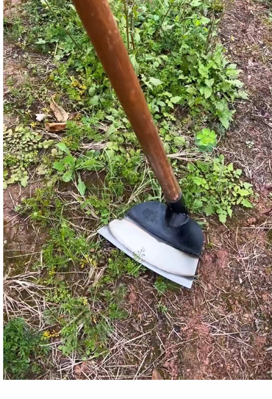 Lưỡi cuốc thép mangan siêu bén #xuhuong #dodungtienich #cuoclamvuon 