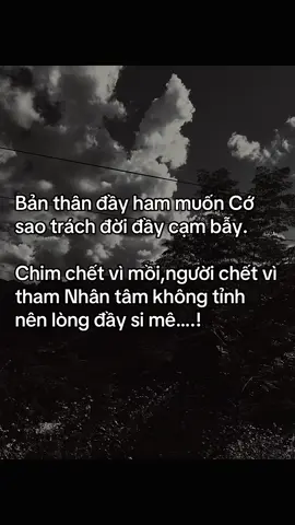 Bản thân đầy ham muốn Cớ sao phải trách đầy đời bẫy…? #fyp #ham #muốn #chill #xh 