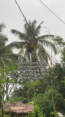 Wala na akong ibang gusto ngayon, kundi ayusin nalang ang sarili ko at umiwas sa mga taong akala ko ay totoo. #fyppppppppppppppppppppppp  #fypシ゚  #viralvideo 