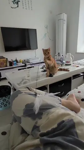 날 따라해보라구 