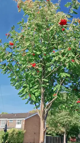 #tektokviralvideo #fouryoufourpage #unfreezemyacountplz #fouryou #fyp 