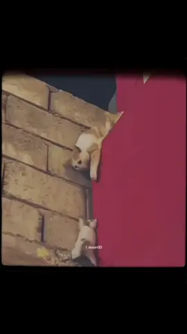 🖤؟.. 
