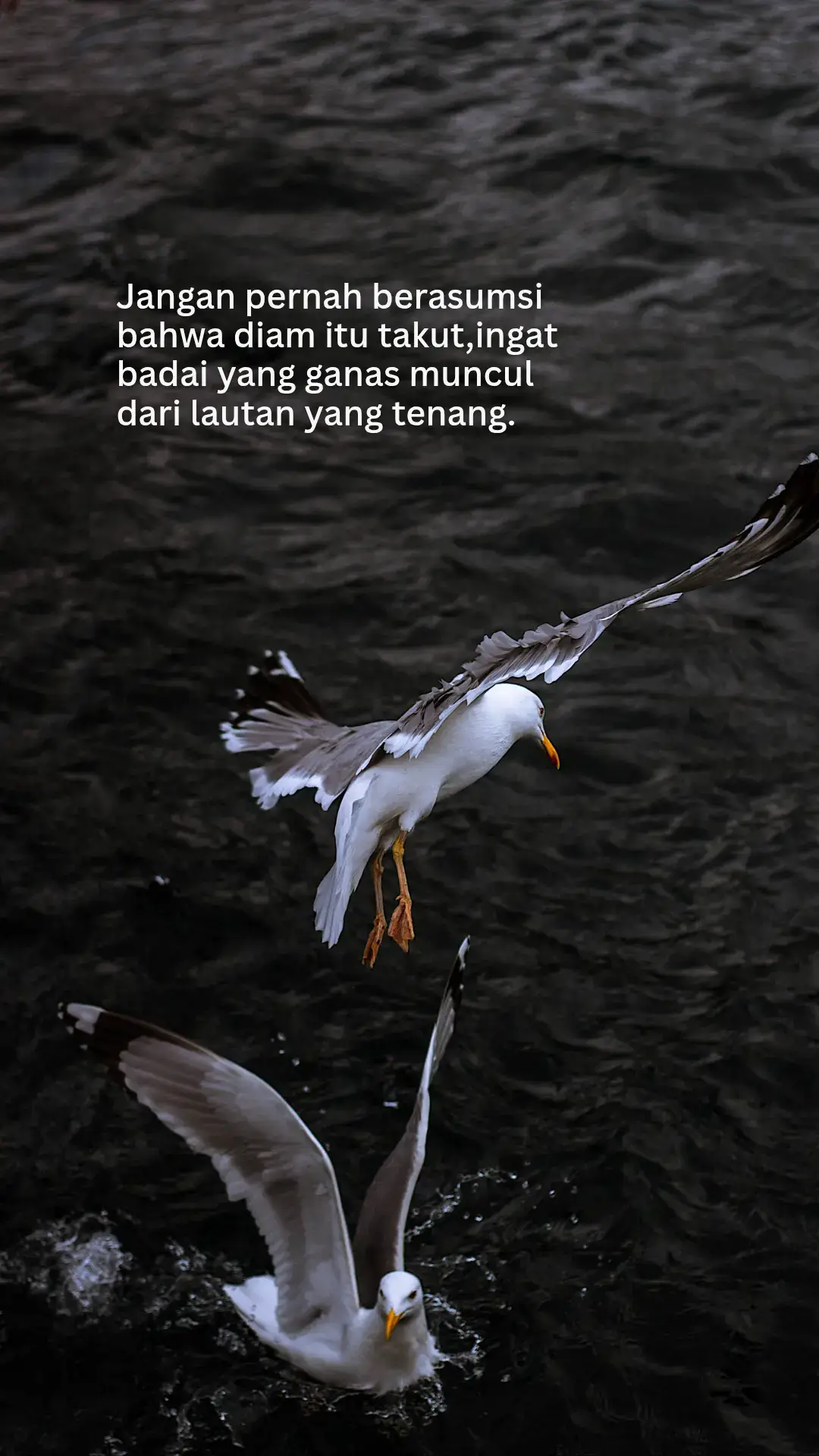 #tiktok #reminder #quotes #fyp #xwyzbca 