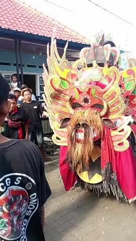 jaranan gong sono  #barongkumbo  #banyuwangi  #fyp 