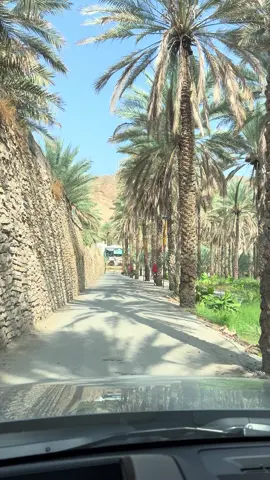 مود صباح الأحد 🤨