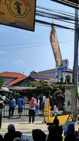 BAJOL #KARNAVAL  #harijadipasuruan  #bangilpasuruan #viral #fyp 