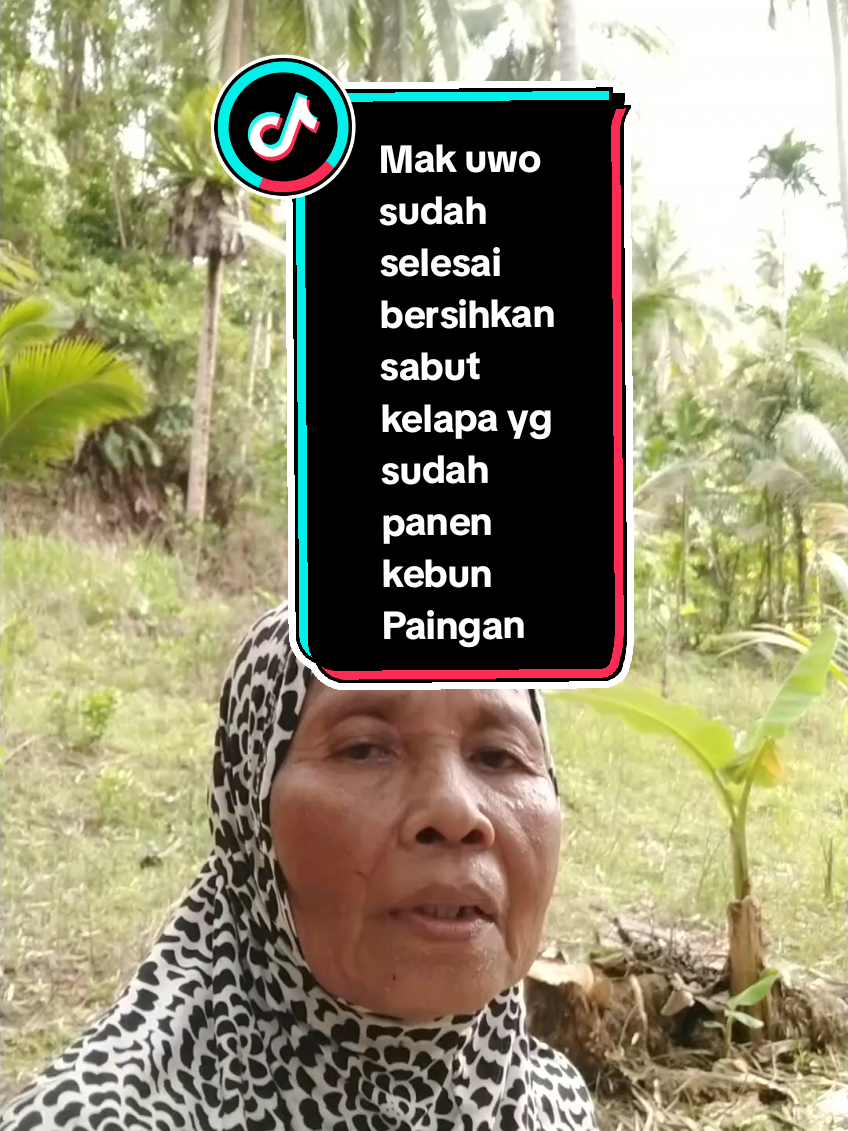 #petani#fyp#kelapa#kebun #petaniindonesia🇮🇩🇮🇩🇮🇩🌿🌿 