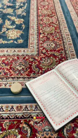 😔♥️♥️. #كربلاء 