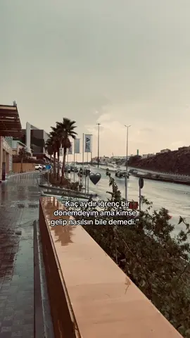 Bir söz bırak ❤️📌 #keşfet #anlamlıvideolar #storylikvideolar📌 #mamistorylik1 #harranstories 