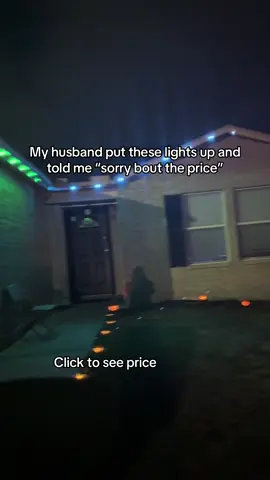 #tiktokshopcreatorpicks #ledlights #holidaylights #permanentlights #outdoorlights     