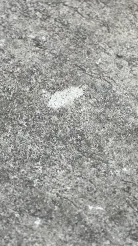 Krungu lagu iki howo ne pengen ganti  stel pak guru,terus di nggo dolan nek adohh😊                                                                                                                    #fyp #masukberanda #2stroke #rxking135cc #rxkingblue💙