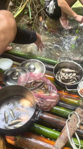 Bình yên ở đâu ạ