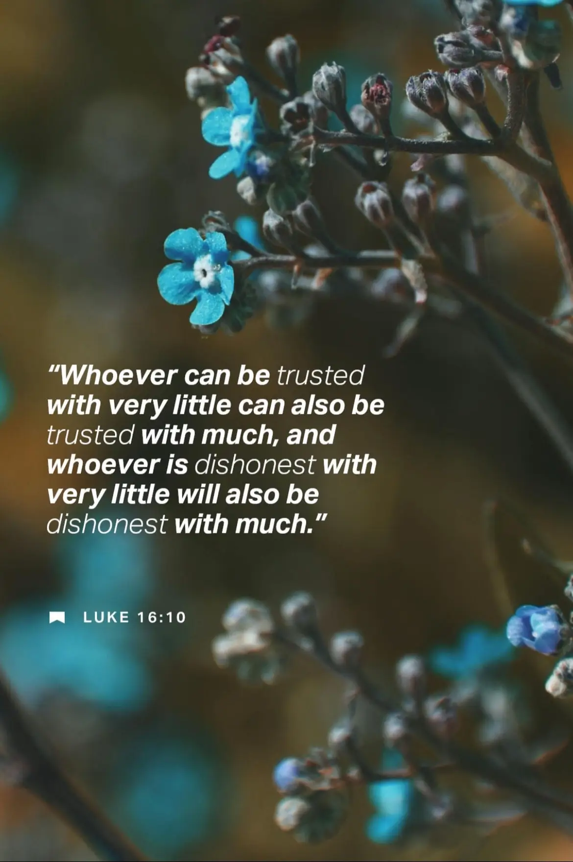 #meandGOD #sunday #goodmorning #bibleverse #luke16v10 