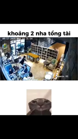 phải chịu #memes #haihuoc #viral #tiktokvietnam #meme 