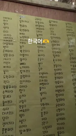 𝚜𝚝𝚞𝚍𝚢𝚒𝚗𝚐  한국어🥹