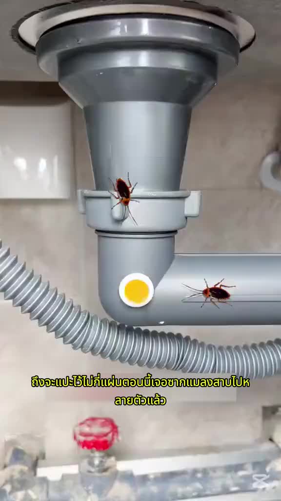 @@ใช้ได้ทั้งครัวและห้องนอน! สีกลิ่น ปลอดภัยสำหรับเด็กและสัตว์เลี้ยง 