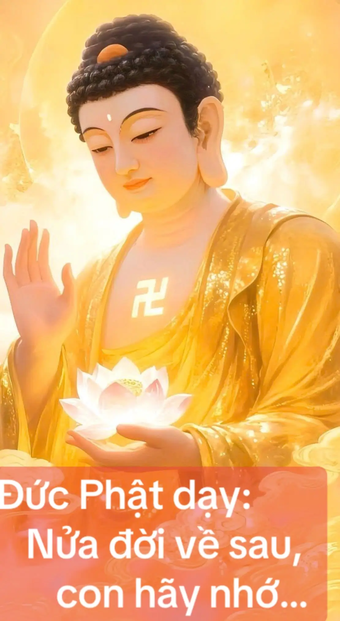 6 điều con cần ghi nhớ nửa đời về sau: 1. Học cách nhẹ nhàng 2. Học cách biết đủ 3. Học cách buông bỏ 4. Học cách sống một mình 5. Học cách im lặng 6. Học cách tha thứ #loiphatday #phatphapnhiemmau #niemphat #trietlycuocsong #xuhuong