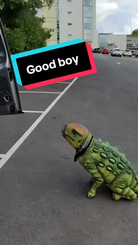 We met this lovely lady who said her toxic trait was if Jurassic Park was a real park she would love to visit.  Also, Bramble is still struggling to get in the van. ####Dinomania##bramble