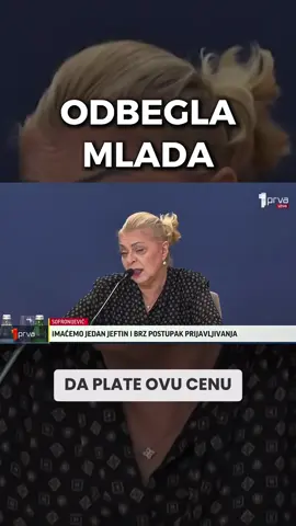 Odbegli investitor #srbija #predsednik #vucic #zakon #fyp 