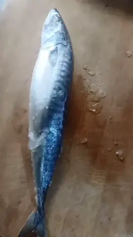 Pls my people if you most eat horse ice Fish please cut it like this and remove the nylon they use to cover it... #fyp #goviralvideo #laughter #hygieneproducts 