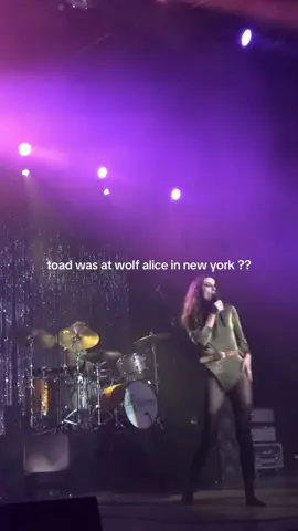 if this was u plz lmk @Wolf Alice #toad #wolfalice #concert #OnTour #ladygaga 