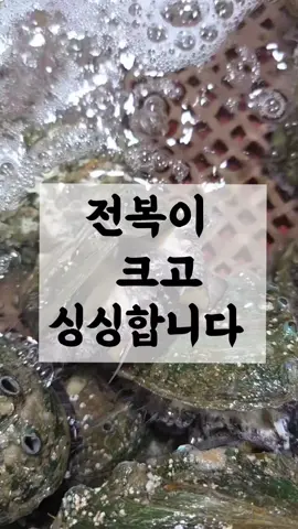 전복
