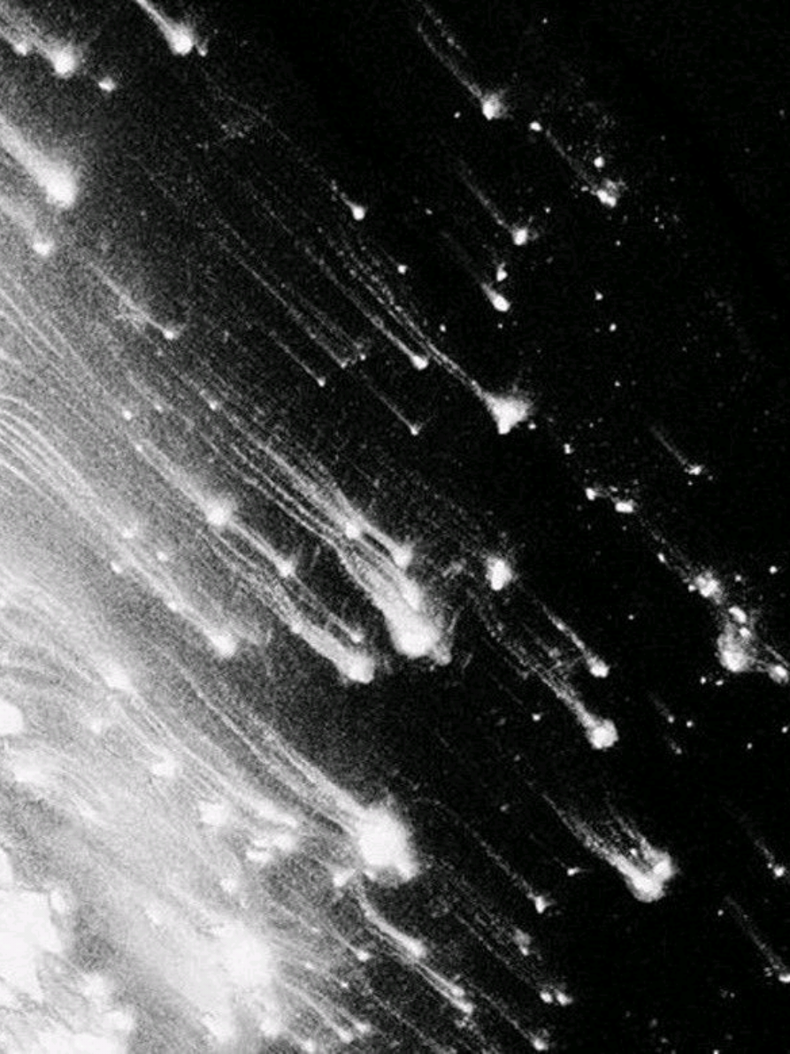 kulağımı t*cavuz ediyorlar #fyppppppppppppppppppppppp #global #tutsun #kesfet #tutsun  lilpeep,XXX,billie,juicewrld,eminem,tokiohotel,liltracy,theneighbourhood,chaseatlantic