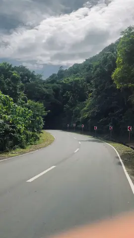 (POV: Yung ganto ka peaceful ang kalsada sa probinsya - bukid life) 🥹🫶🏻😩#fyp #bohol 