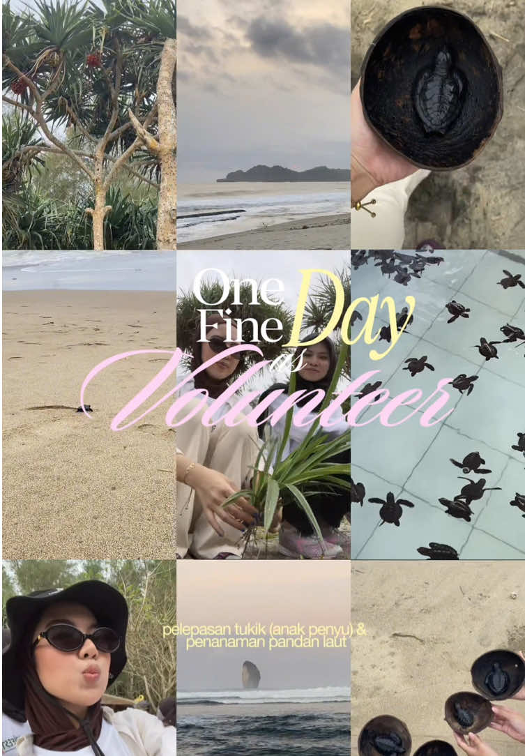 had soo much funn, kemarin join volunteer at @telkomsustainability melepas tukik, menanam pandan laut, and another fun things, happyyy🌴🥥🐚🌊🌺 🐢@BajulmatiSeaTurtleConservation #volunteermalang #BumiBerseruFest #BBF25GoesToMalang  #telkomsustainability #pantaimalangselatan 