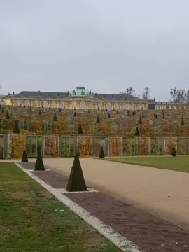 Schloss Sanssouci in Deutschland. Wunderschön zu allen Jahreszeiten. 