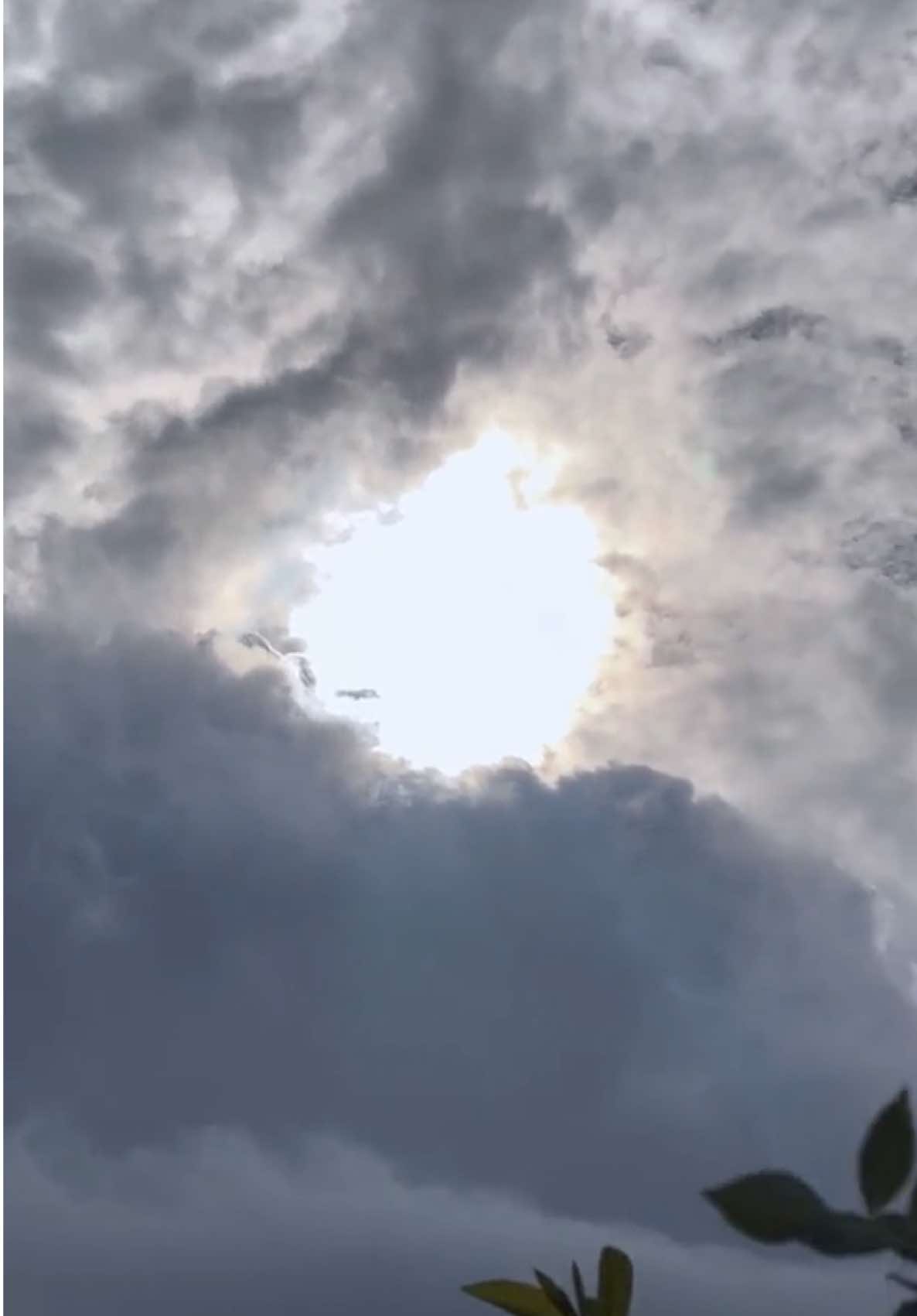 M E N T A H A N nih #fyp #1080p60fps #hd60fps🤑 #langitaesthetic 