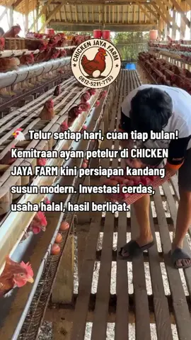 #peternakayam #juranganayam #viralvideo #foryoupage #viral 