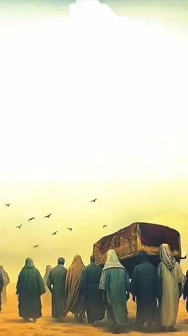 #qoutesislami #story #motivasion 