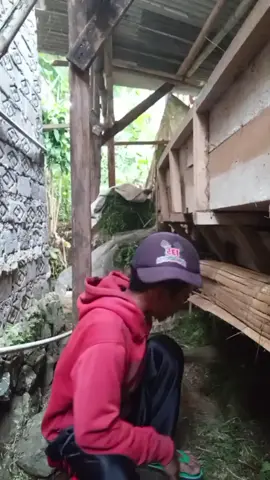 sore semua  #jangkwanluas #fyppppppp 