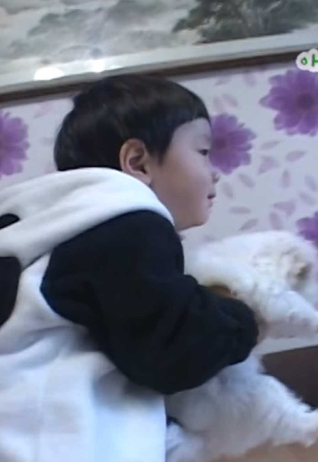 chung sanghyeon with puppy 🥺🥺 #chungsanghyeon #정상현 #보이즈2플래닛 #boysplanet2 
