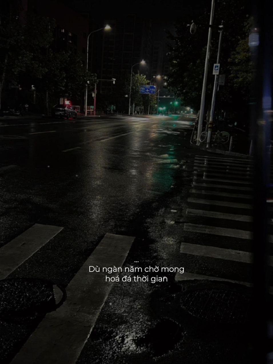 Dù ngàn năm chờ mong hoá đá thời gian...!#nhachaymoingay #nhactamtrang #tamtrang 