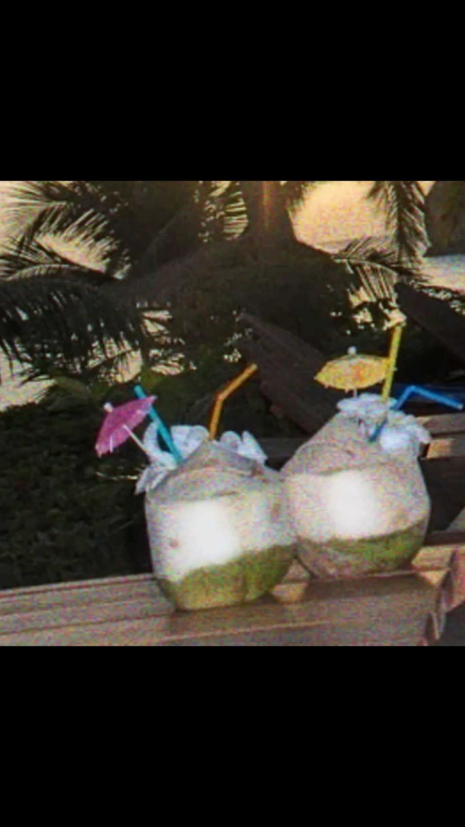 Wake up #hawaii #2000s #early2000s #late90s #nostalgia #tropical 