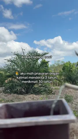 #storysawit🌴🌴 #fypシ゚ #sawitontiktok #tiktokpelitfyp #petanisawit 