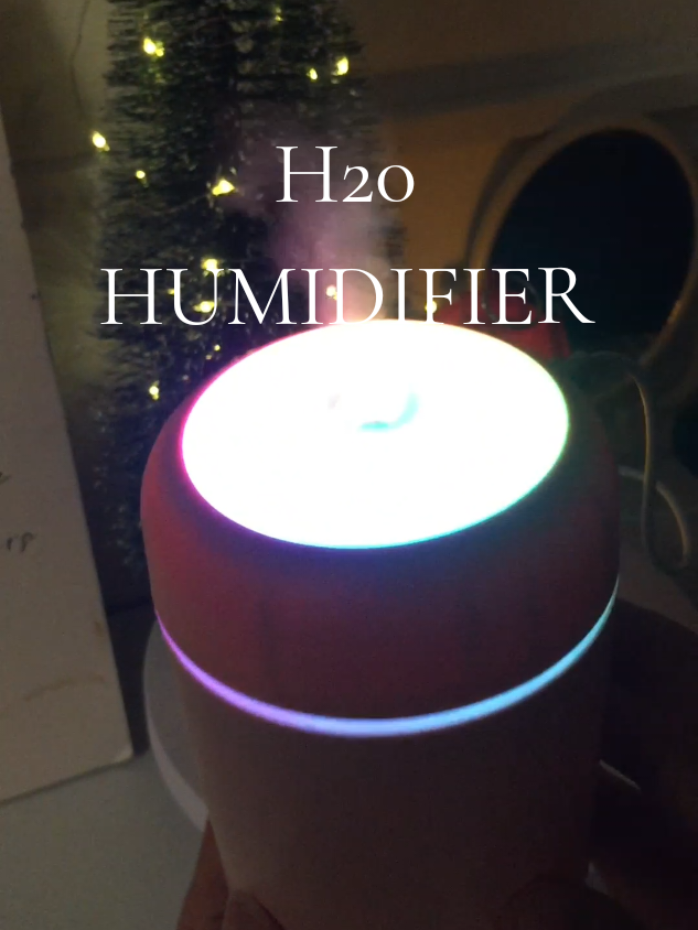 Mini size,maxi vibes-h2O humidifier#humidifier #affordablehumidifier 