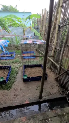 Đã Sài Và Cảm Nhận...#xuhuong .#xuhuongtiktok2025 .#xuhuongtiktok .#aetaixe 