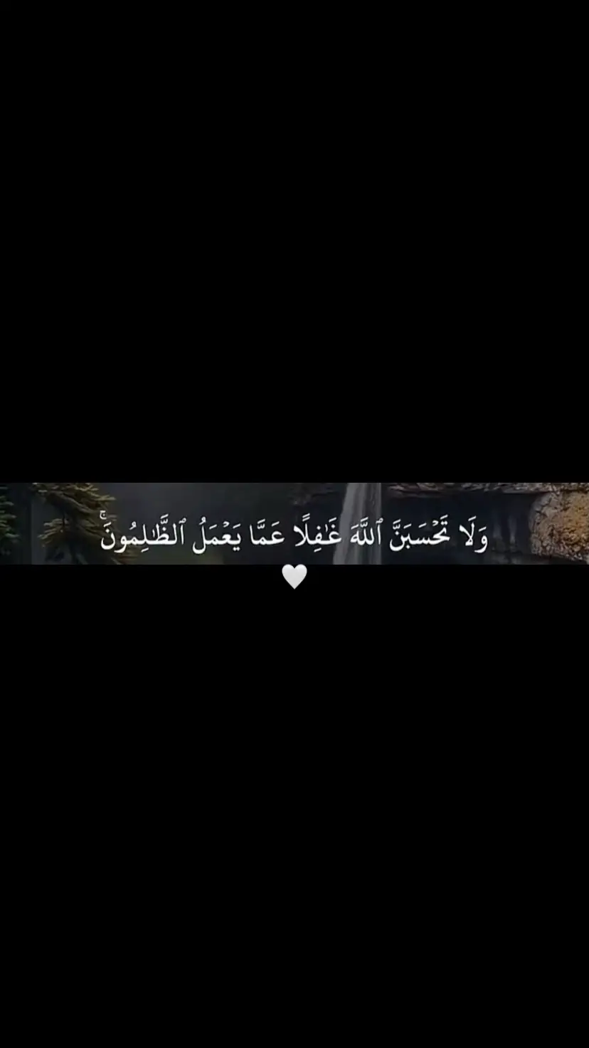 #سعود_الفايز #سورة_إبراهيم #اكتب_شي_توجر_عليه #quran_alkarim #quran 