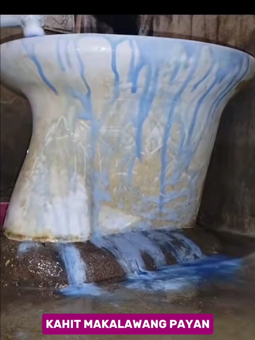 Replying to @tiktokfinds.ph22  Yess mi dami na gumagamit nito #shineprotoiletcleaner #toiletbowlcleaner #buy1get3toiletcleaner #toiletcleaner Desclaimer:price may change