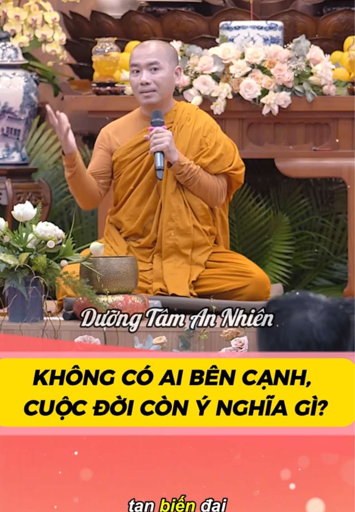Không có ai bên cạnh, cuộc đời còn ý nghĩa gì | Thầy Minh Niệm #phatphap #xh #tutap #binhan #thayminhniem