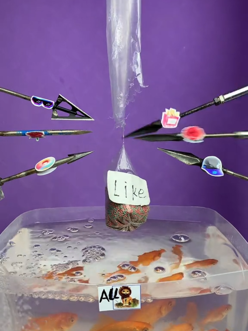 mini game feeding fish #foryoupage #fyp #viral #live #fish 