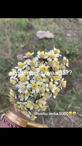 #serba5000#promoseruweekend #fyppppppppppppppppppppppp 