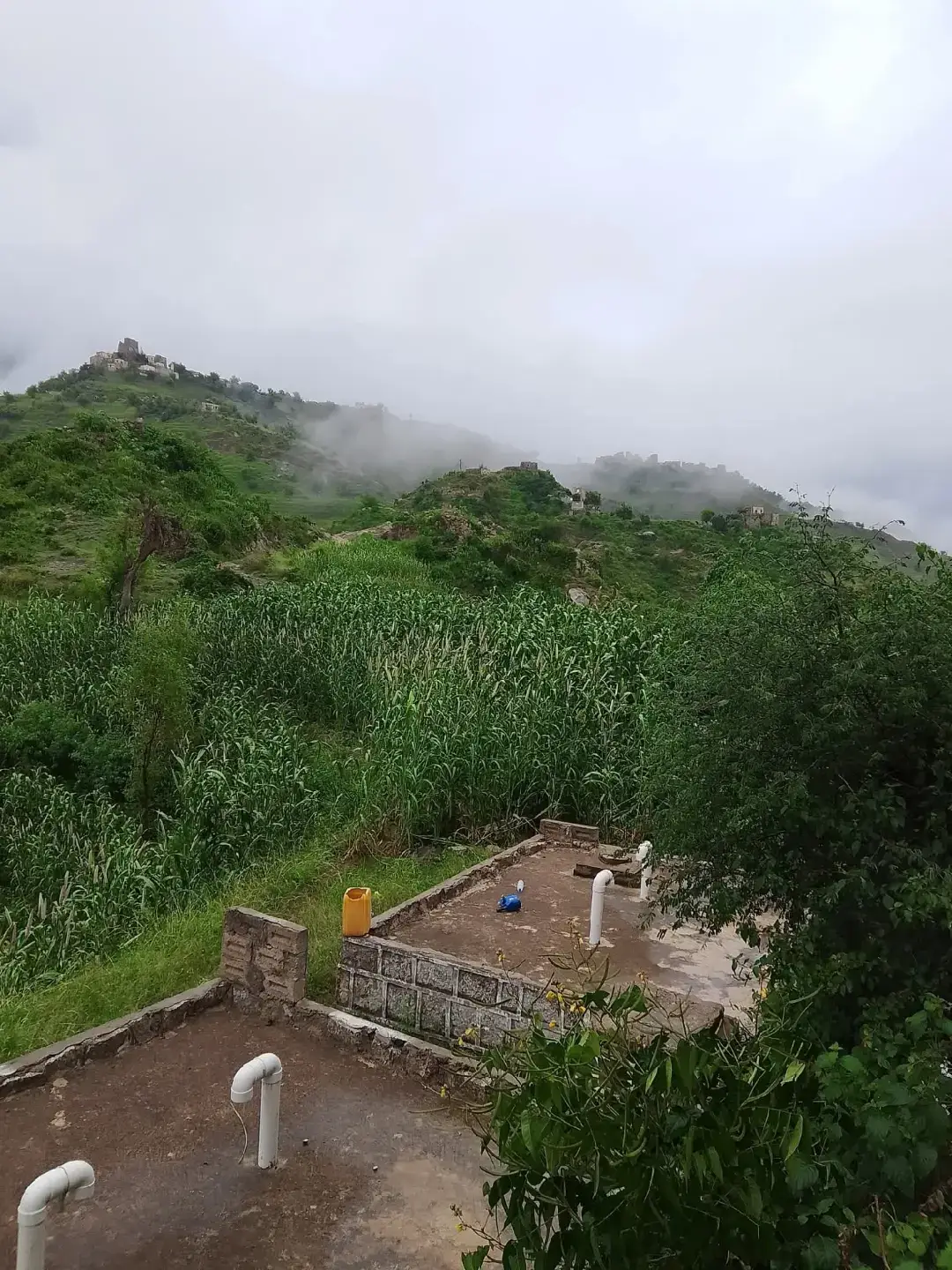 ماليش حبيب غيرك.   طيب لي الخاطر #الحارثي #💚علامات الهاشتاج #اكسبلورر #متابعة 