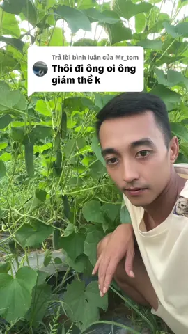 Trả lời @Mr_tom #truyềndônglưc #farm #nông #xuhuong 