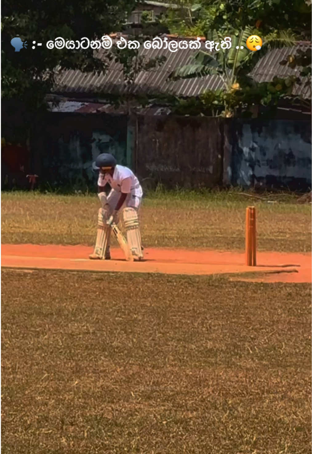 01 බෝලයයි 🥲❤️‍🩹 #everyone #onemillionaudition #cricket #fypシ゚ #sasszii5 