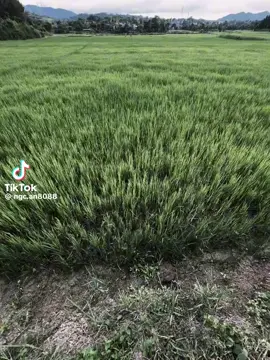 最痛的距离,不是天各一方,而是近在咫尺却无法拥抱。